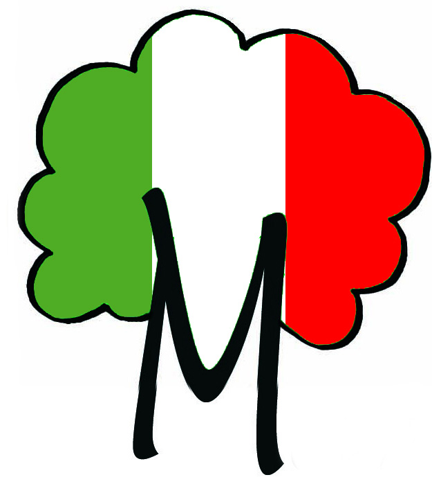 Logo MSAO